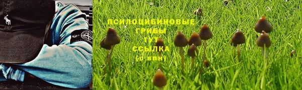 ALPHA PVP Баксан