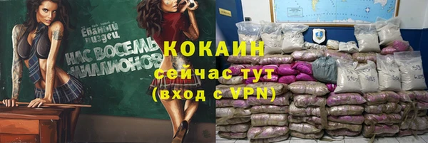 прущая мука Арсеньев
